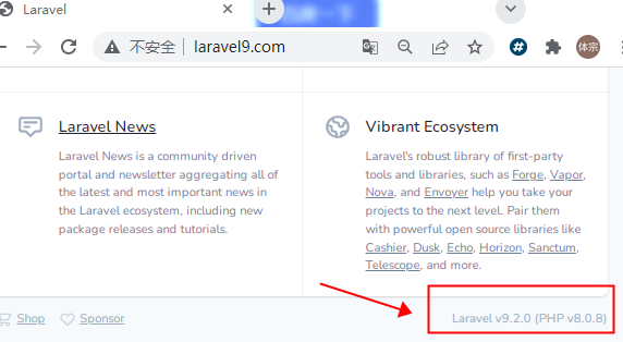 laravel9.png